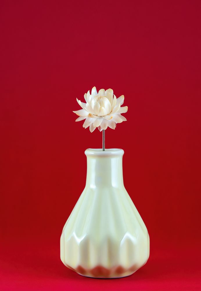 Photograph by Mihai Popa