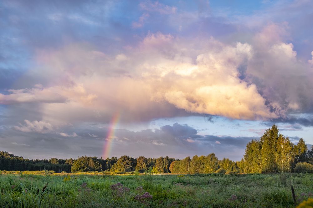 Photograph by Sandra