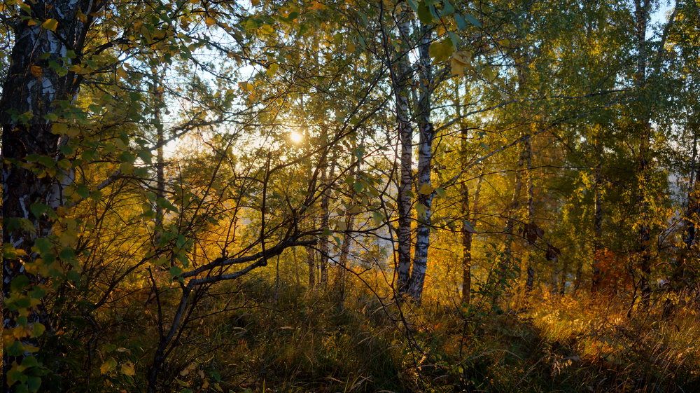 Photograph by Антон Александрович