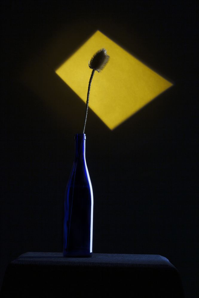 Фотография автора Refat Mamutov