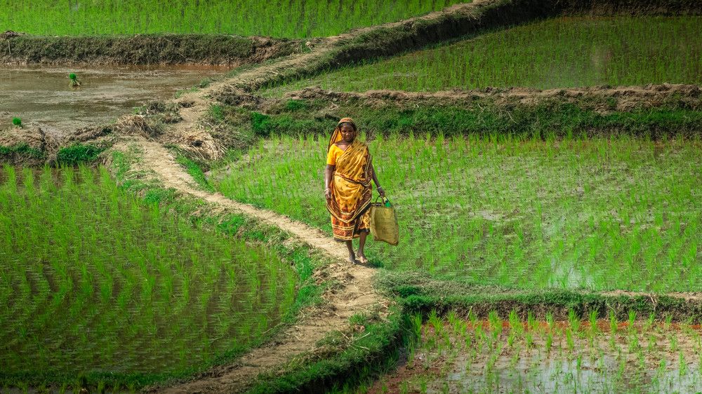 Photograph by Anirban Pan