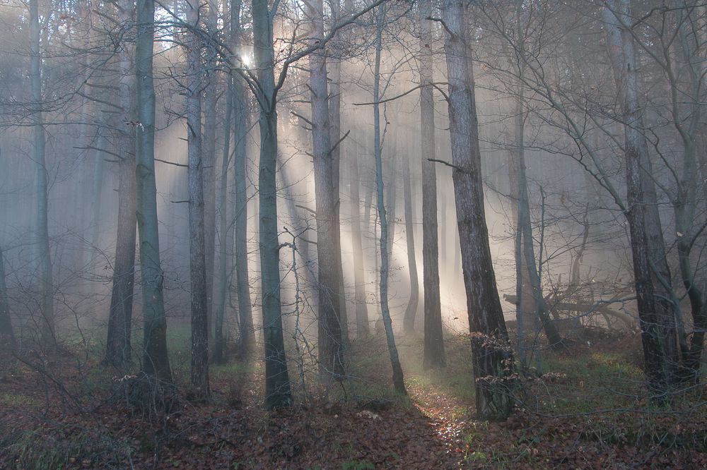 Photograph by Даниел Чобанов