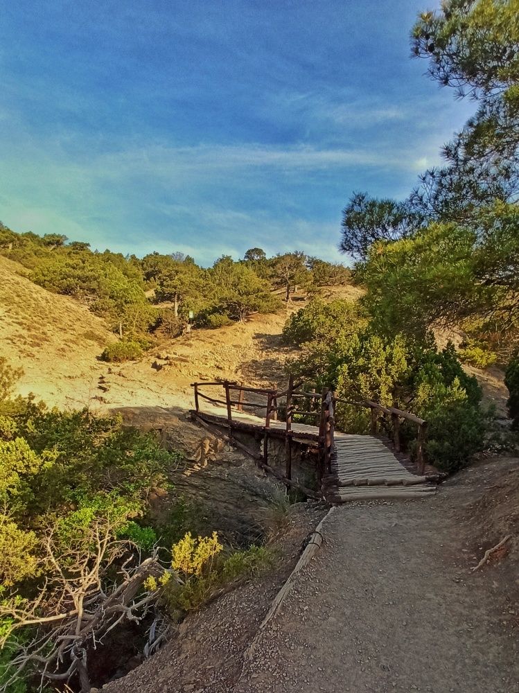 Photograph by Сергей Жигульский