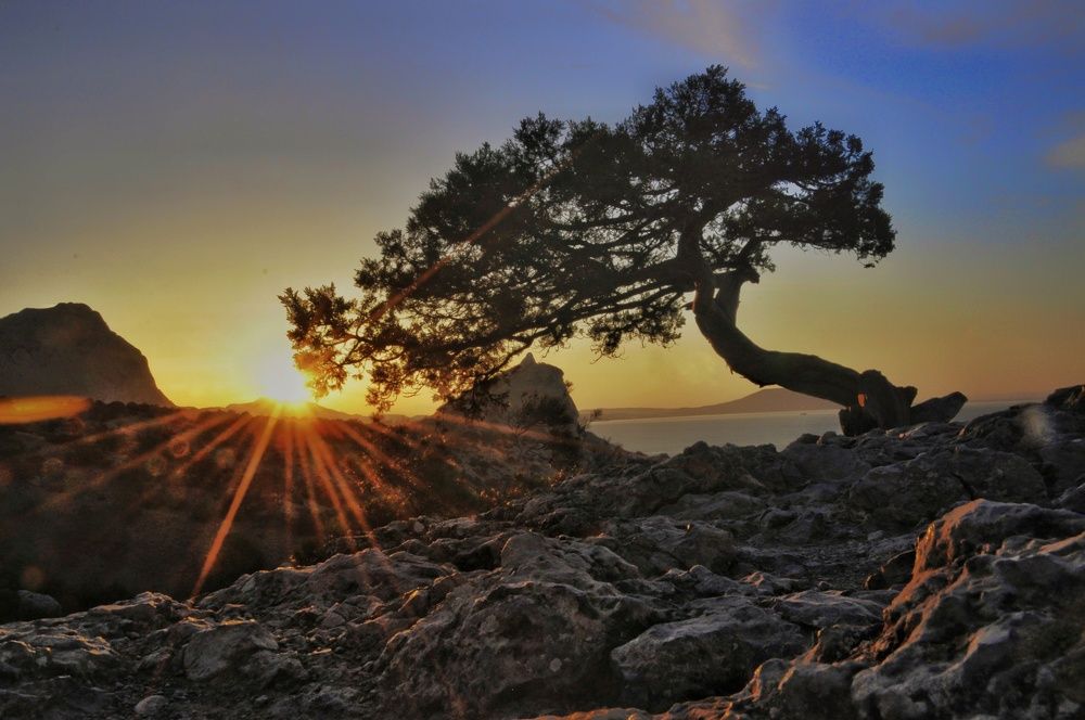 Photograph by Сергей Жигульский