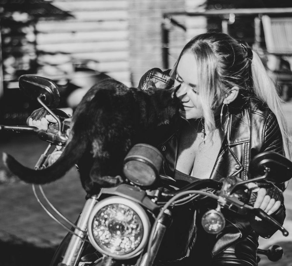 Фотография автора Алёна Сорокина