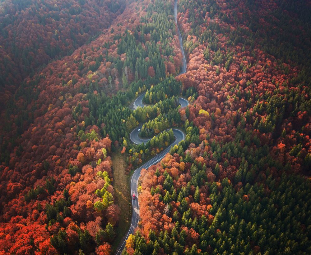 Photograph by Alex Coman