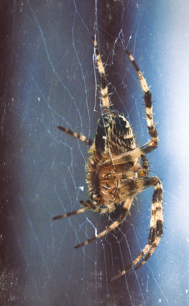 Photograph by Людмила Волкова