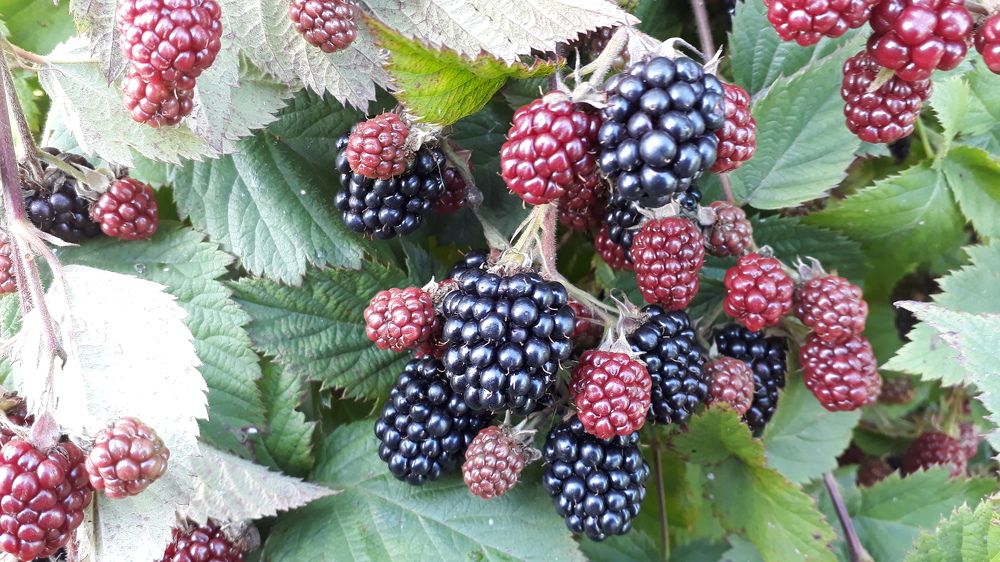 Photograph by Дмитрий Крюков