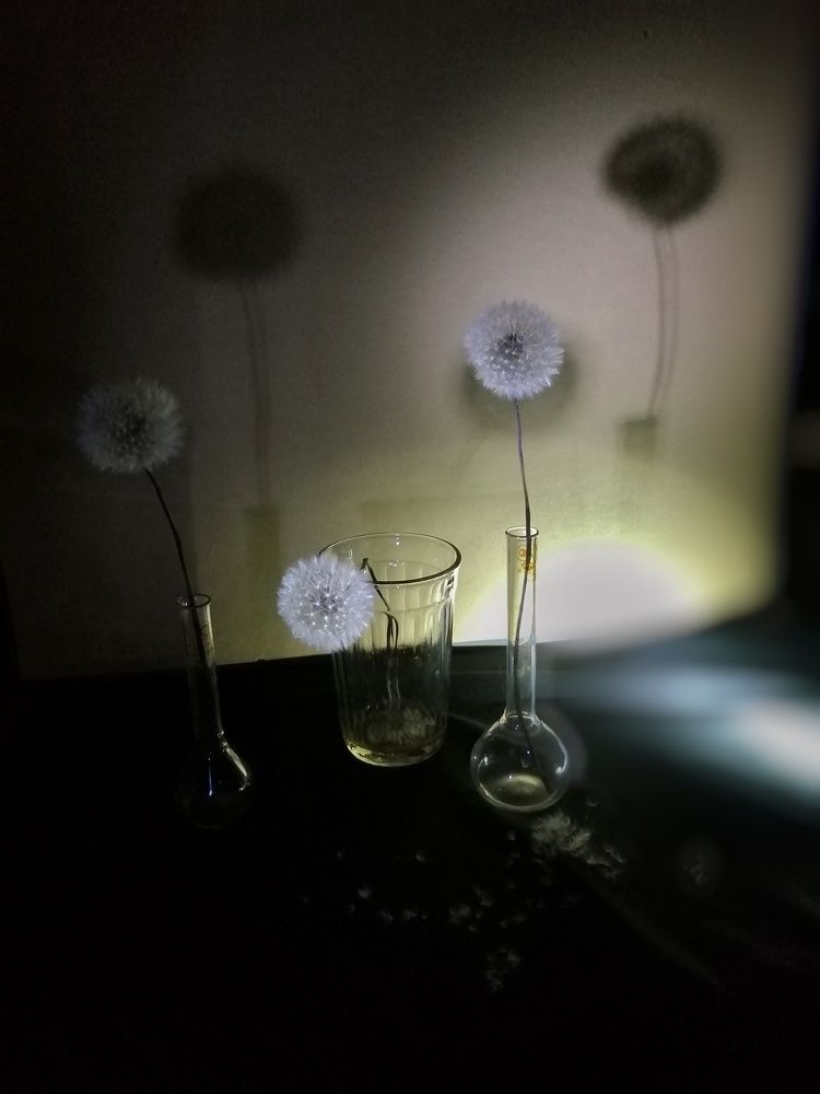 Photograph by Ольга Мокрова