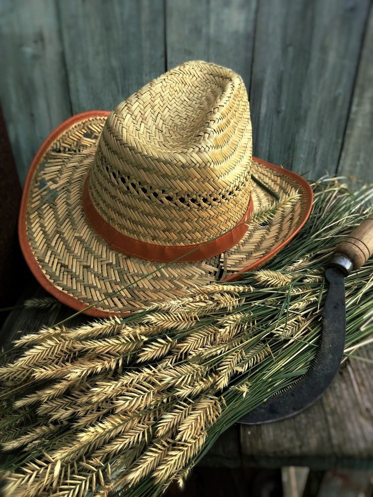 Photograph by Ольга Мокрова