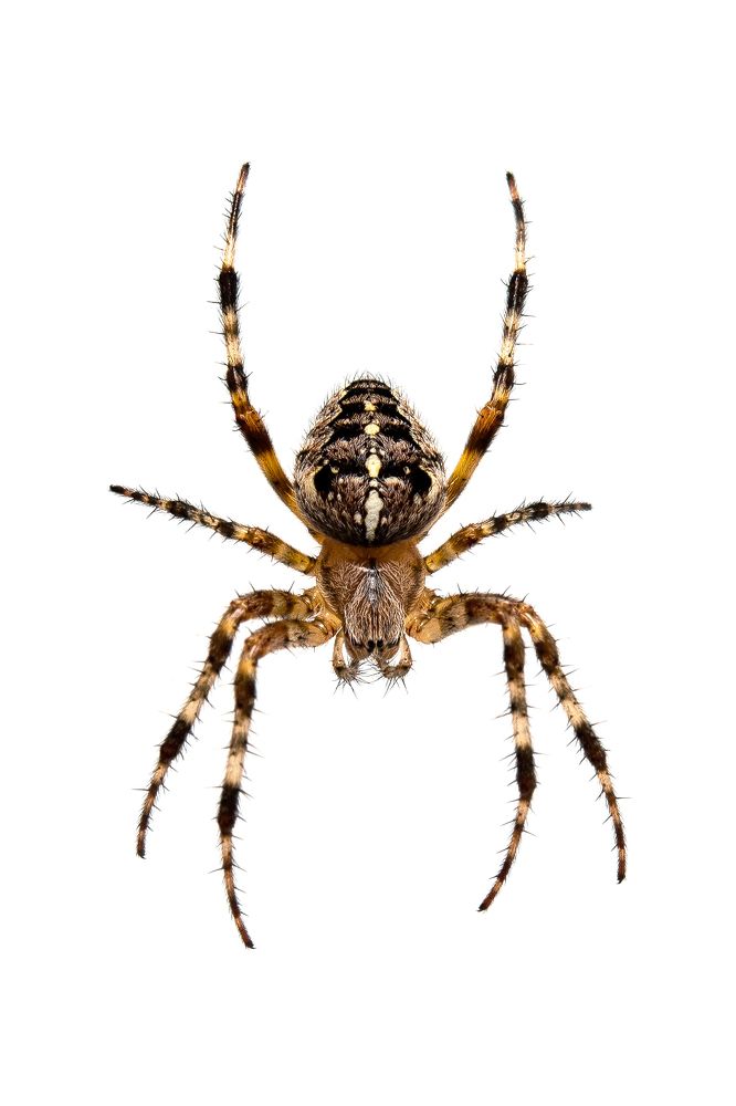 Photograph by Константин Усов