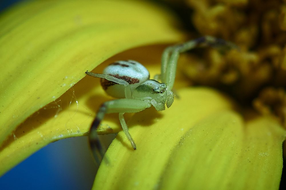 Photograph by Константин Усов