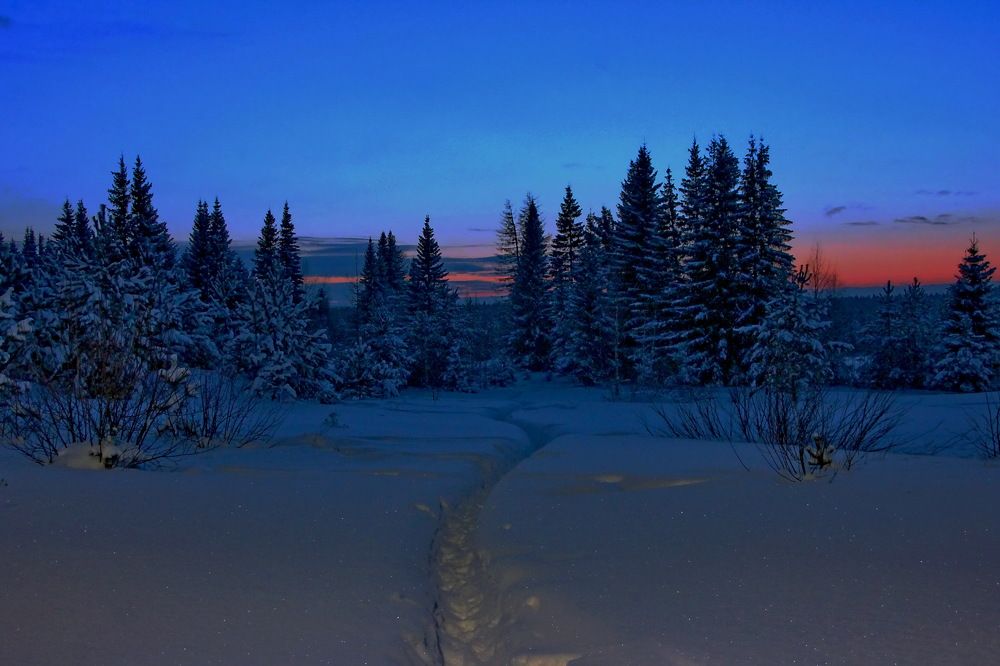 Photograph by Sergei Petrov