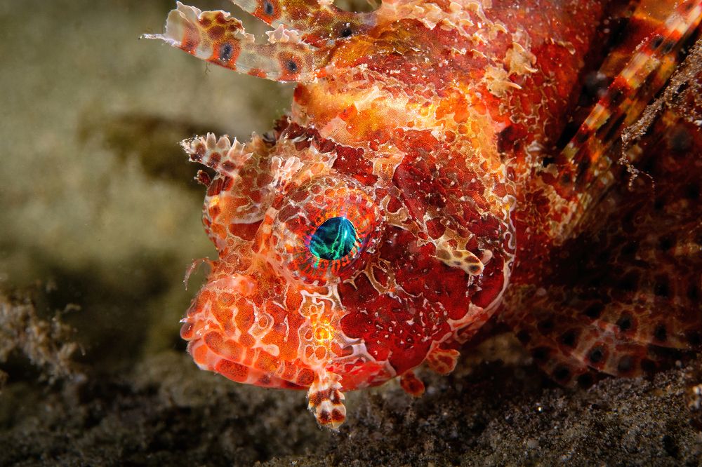 The Universe in Your eyes