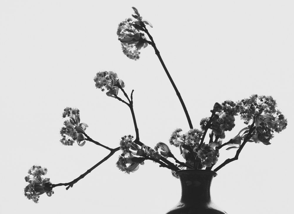 Photograph by Екатерина Игоревна