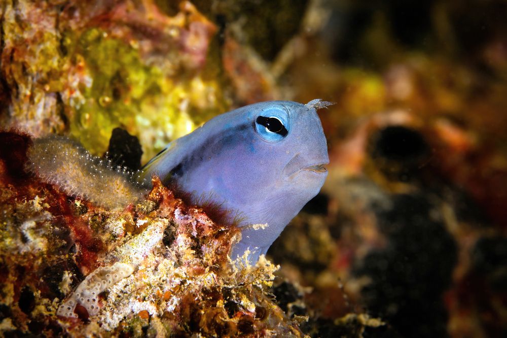 "Security never sleep"