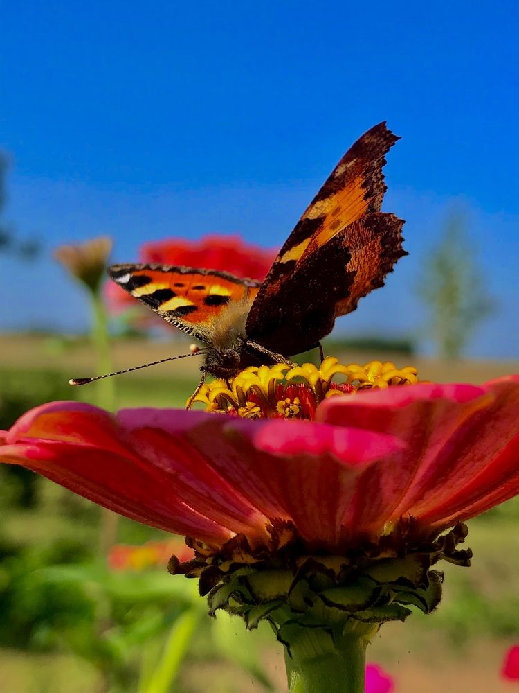 Photograph by Роман Короткевич