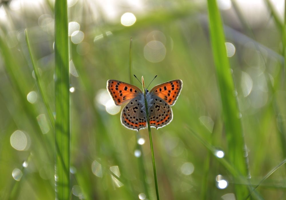 Photograph by Наталия Полякова