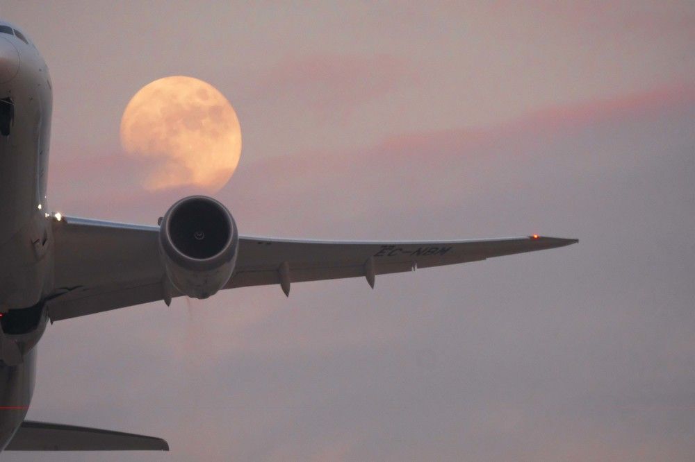 Photograph by Mike Sappojnikoff