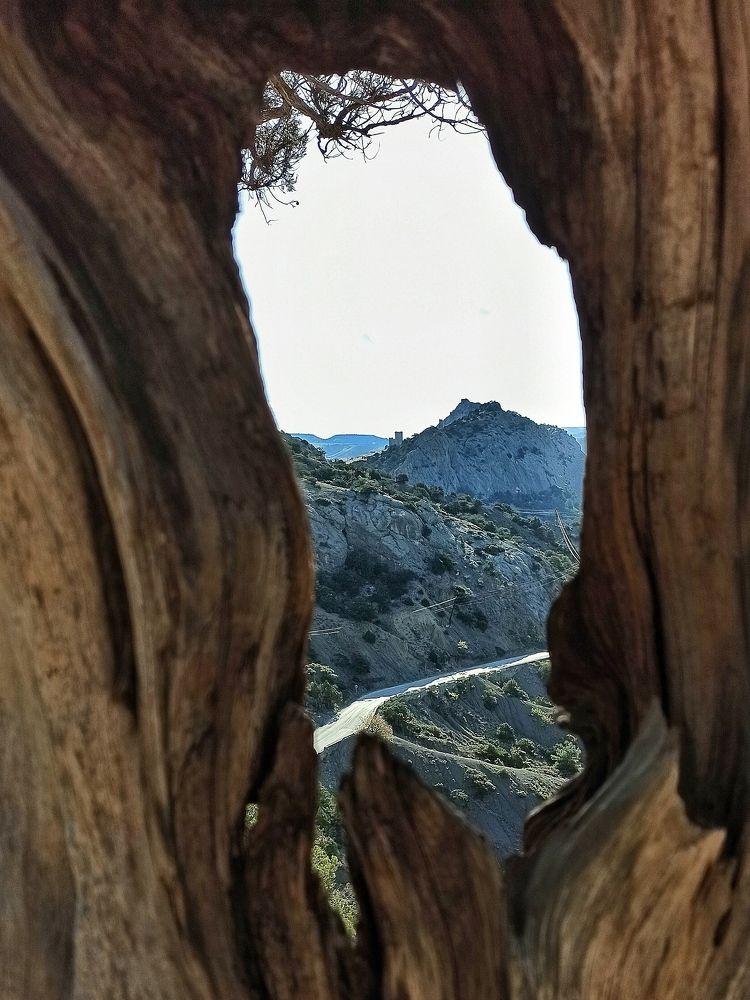 Photograph by Сергей Жигульский