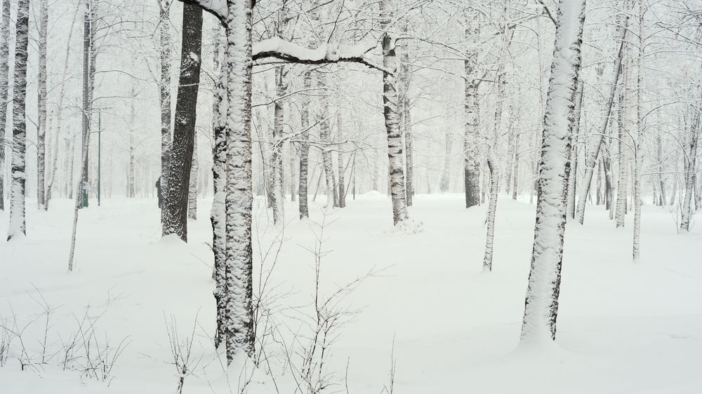 Photograph by Alex Belov