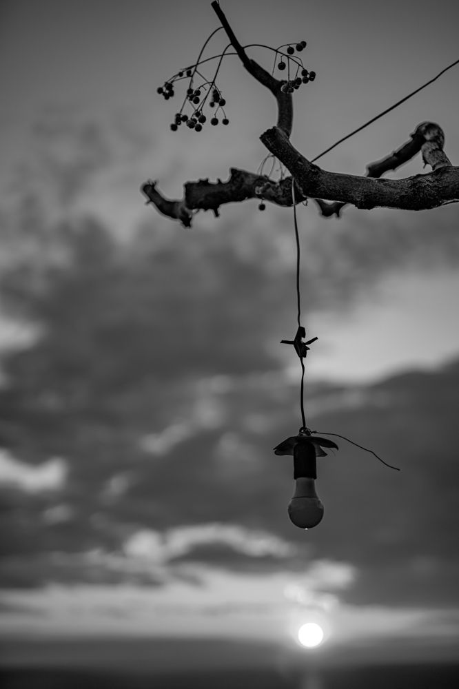 Photograph by Elena Kass