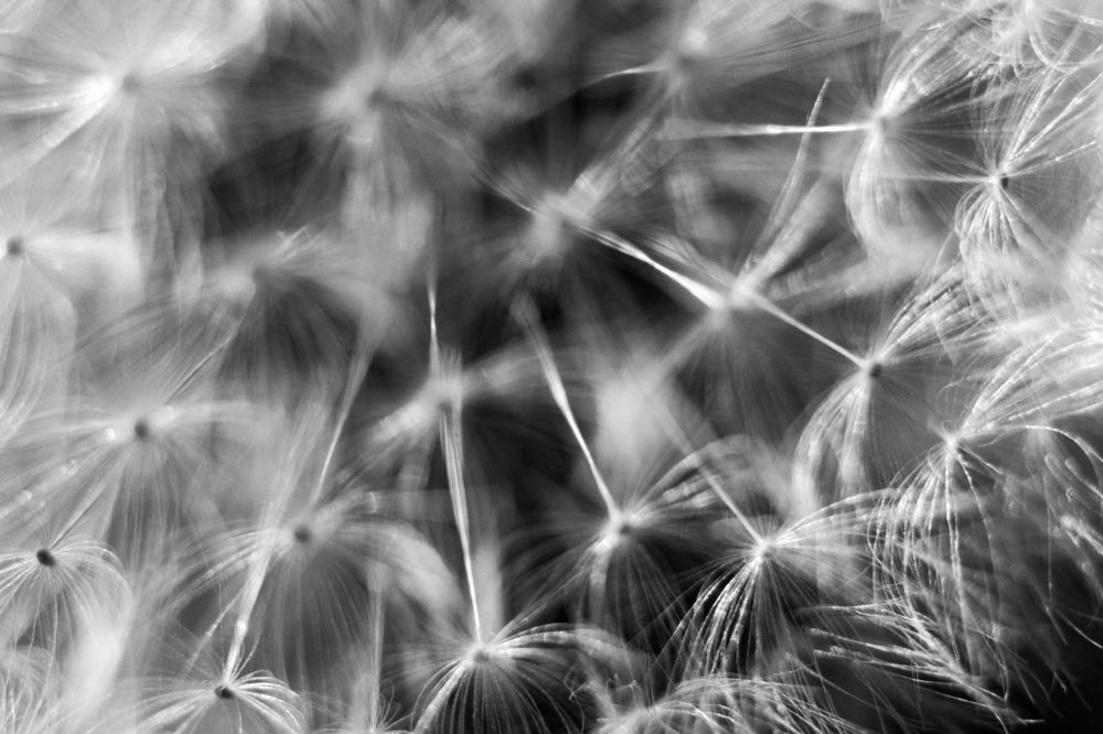 Photograph by Юлия Гаранина