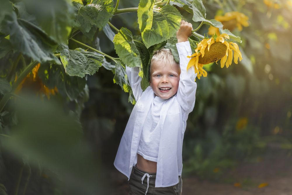 Фотография автора Irina Kornienko