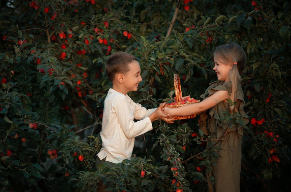 Photograph by Татьяна Припорова