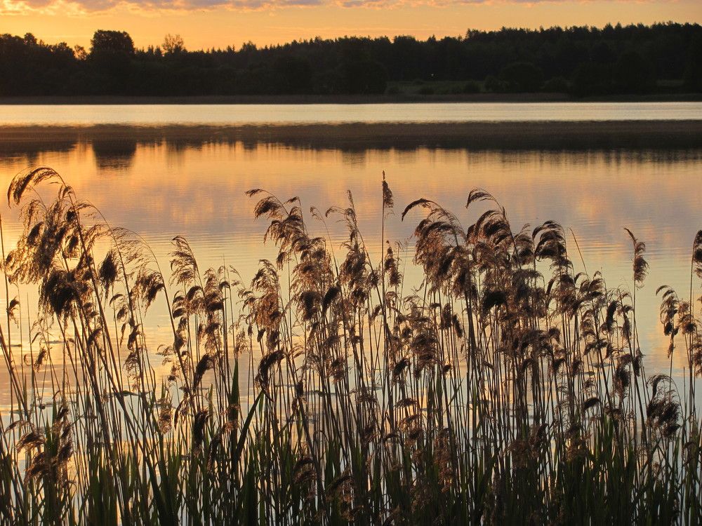 Photograph by Юлия