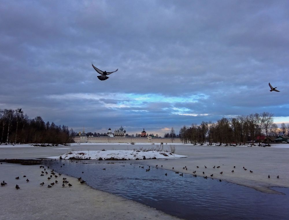 Утиная купель