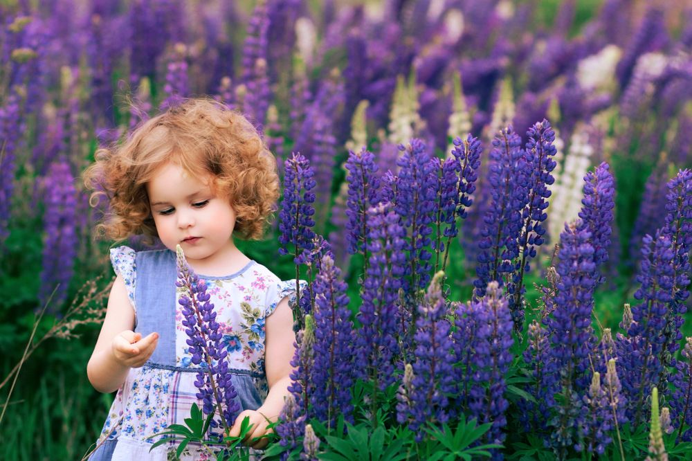 Photograph by Ольга Смачных