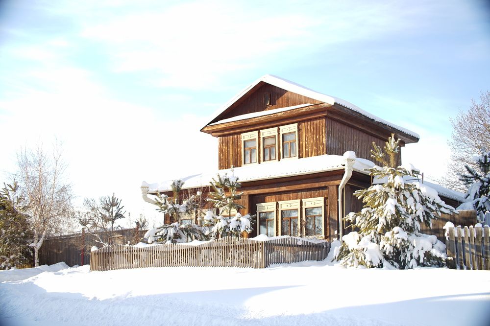 Бронзовая птица