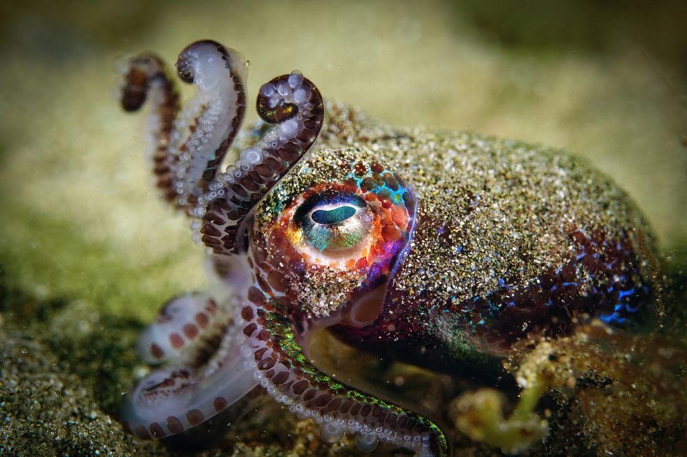 Photograph by Дмитрий Серебряков