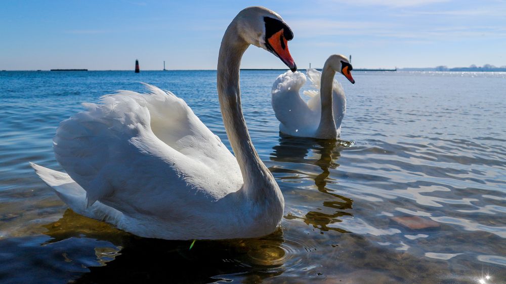 Photograph by Владимир Моисеенко