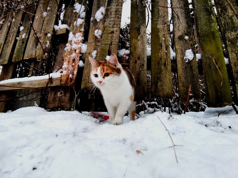 Photograph by Янина Найденцева