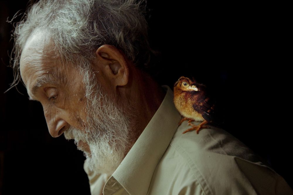 Photograph by Christian Braga