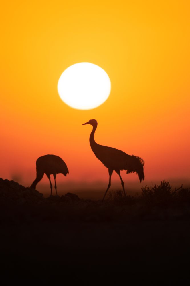 Photograph by Anindita Datta Muhuri