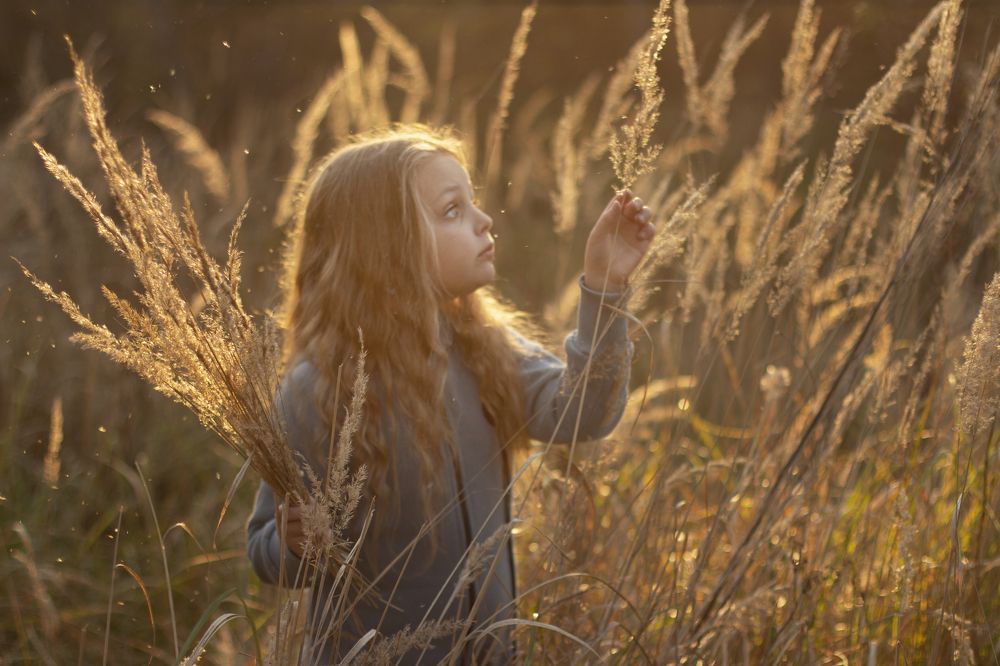 Autumn dust