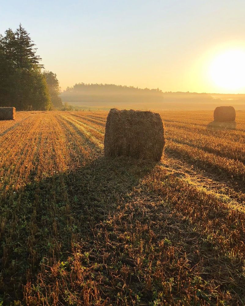 Photograph by Лариса