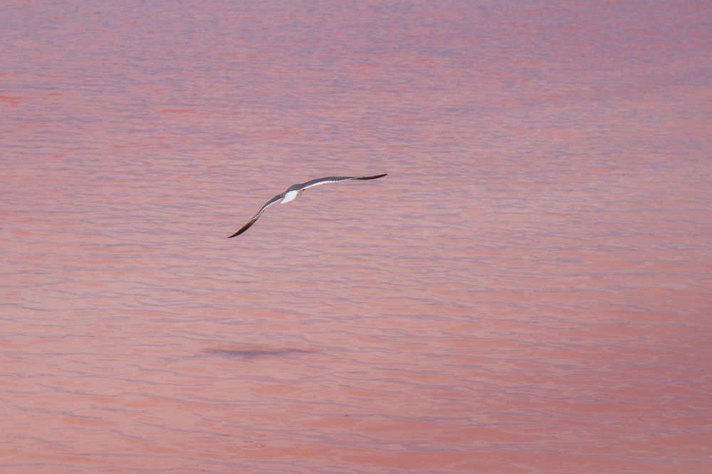 Photograph by Tatiana Varfolomeeva