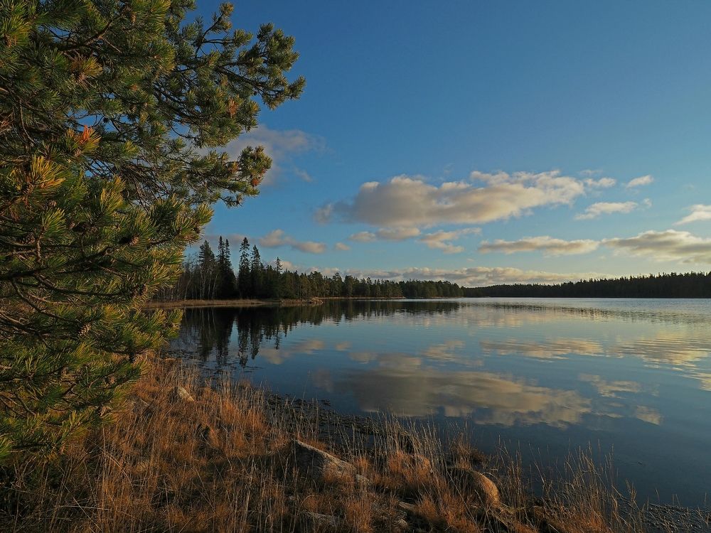 Photograph by Евгений Яковлев