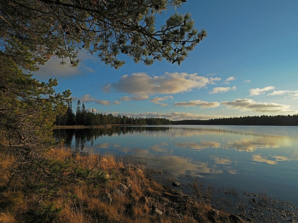 Photograph by Евгений Яковлев