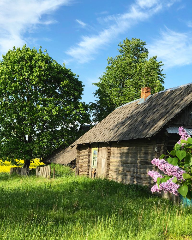 Photograph by Лариса