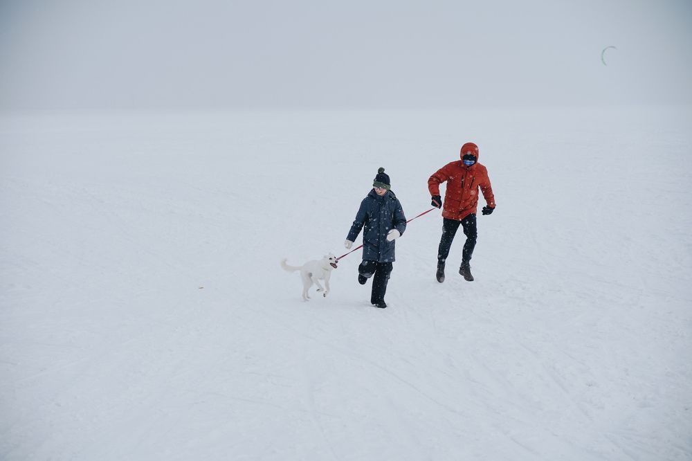 Photograph by Дьяченко Нина