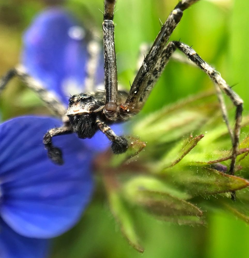 Photograph by Ирина Ивина