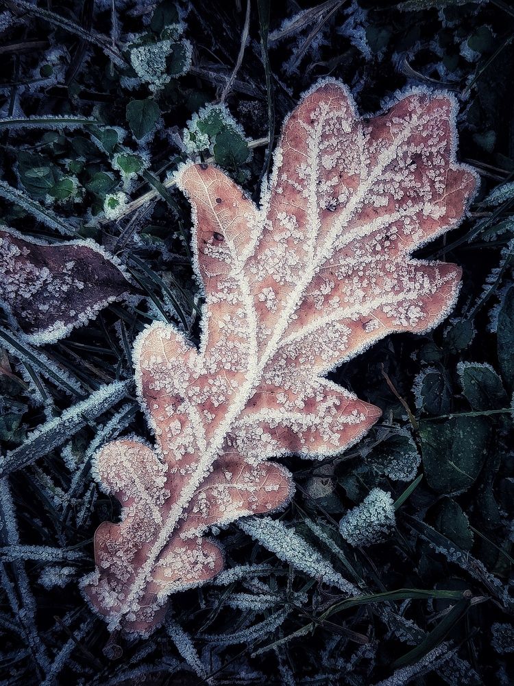 Фотография автора Ольга Игуменова