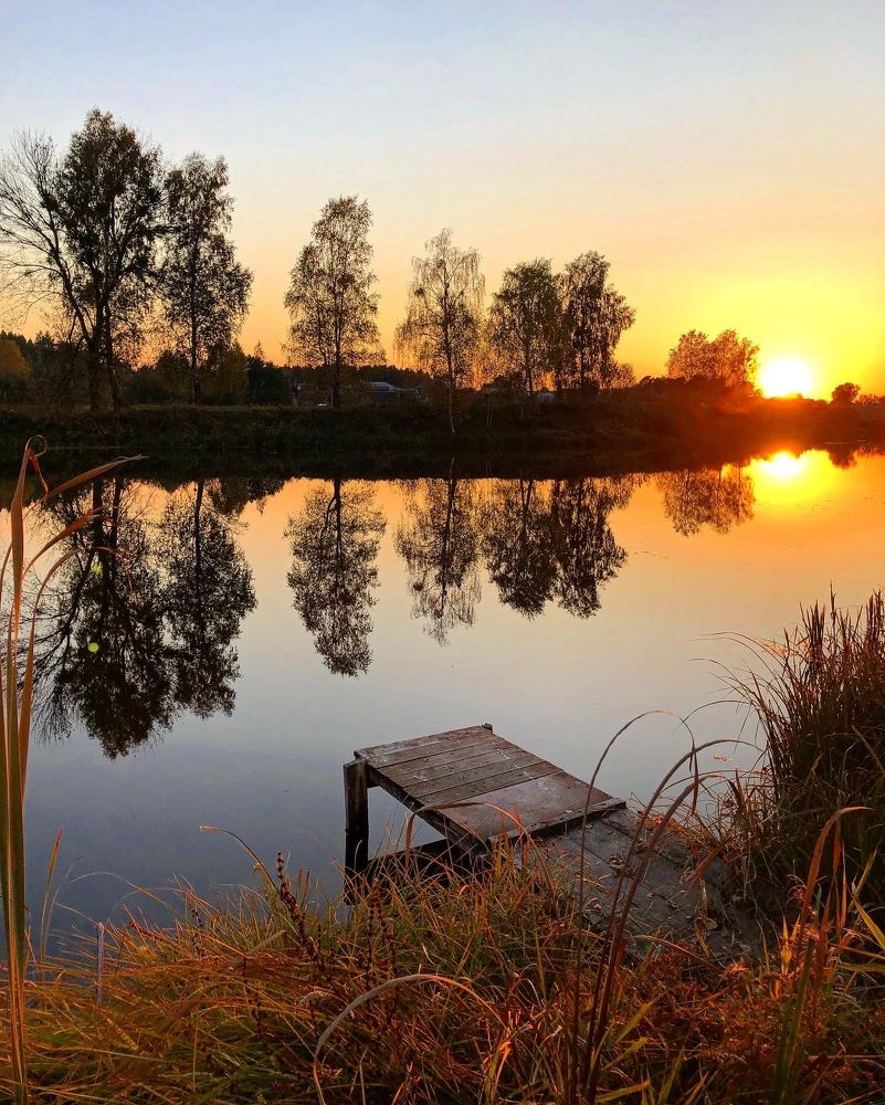 Photograph by Лариса