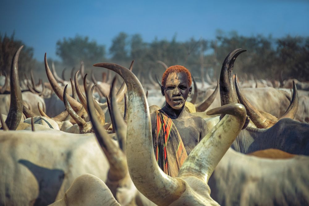 Фотография автора Svetlin Yosifov