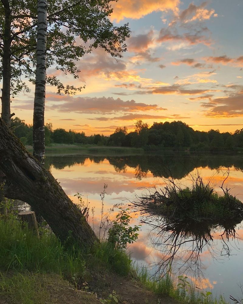 Photograph by Лариса